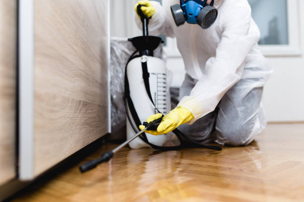 Best Pest Control Near Me in Banner Hill, TN