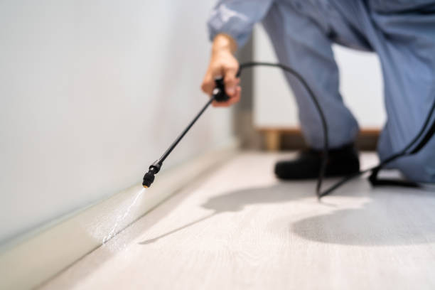 Professional Pest Control in Banner Hill, TN
