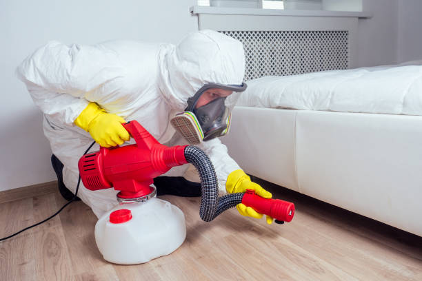 Best Bed Bug Extermination  in Banner Hill, TN