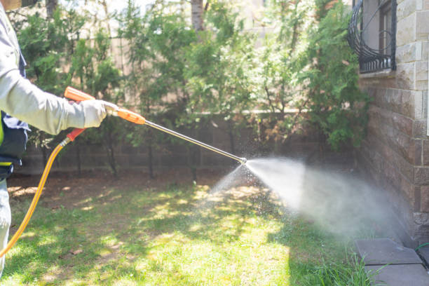 Best Best Pest Control Companies  in Banner Hill, TN