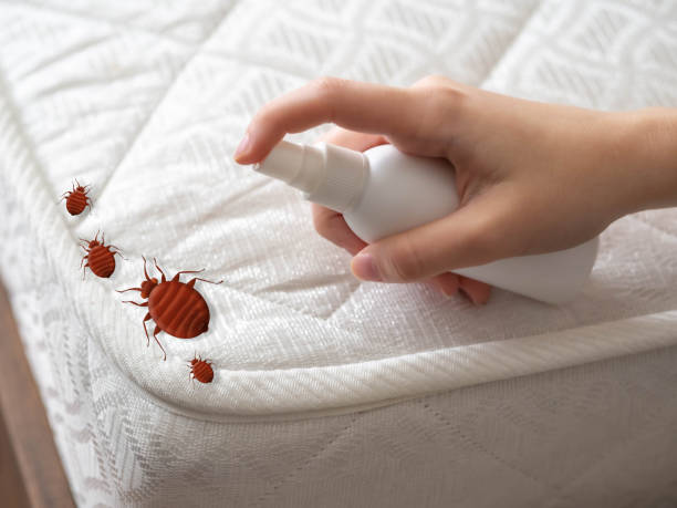 Best Best Pest Control Companies  in Banner Hill, TN