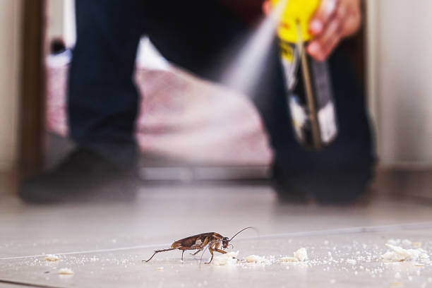 Best Pest Prevention Services  in Banner Hill, TN