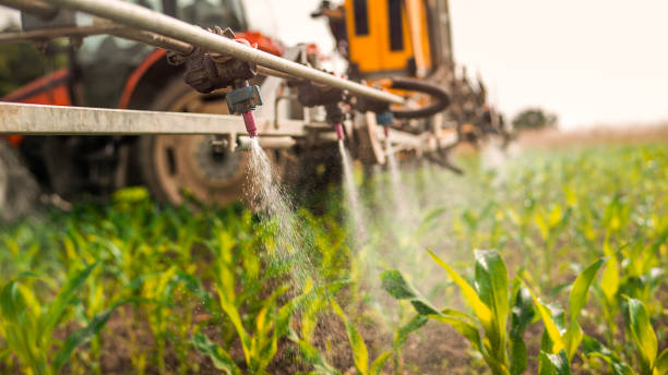 Best Mosquito Control Services  in Banner Hill, TN